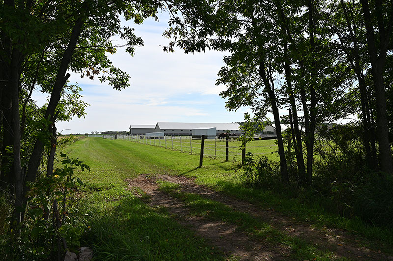 Horse riding trail at Whistler's Run in DePere, WI