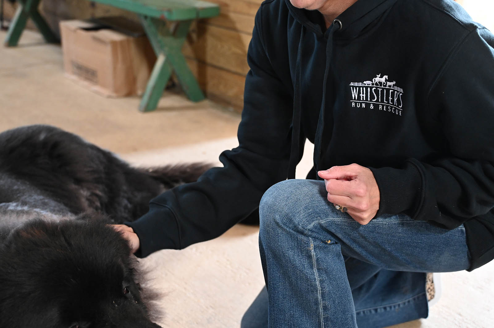 Woman in Whistler's Run sweatshirt petting a black Newfoundland dog