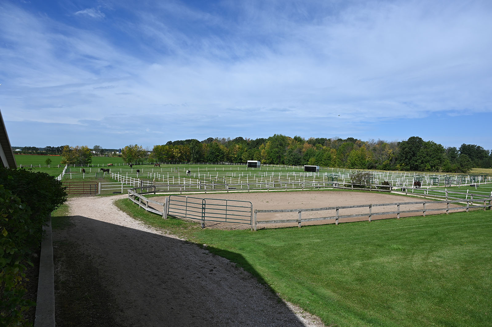 Twelve large pastures at Whistler's Run & Rescue in DePere, WI