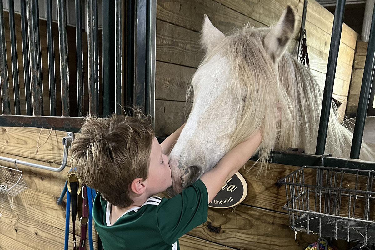 Young boy kissing white horse on the nose